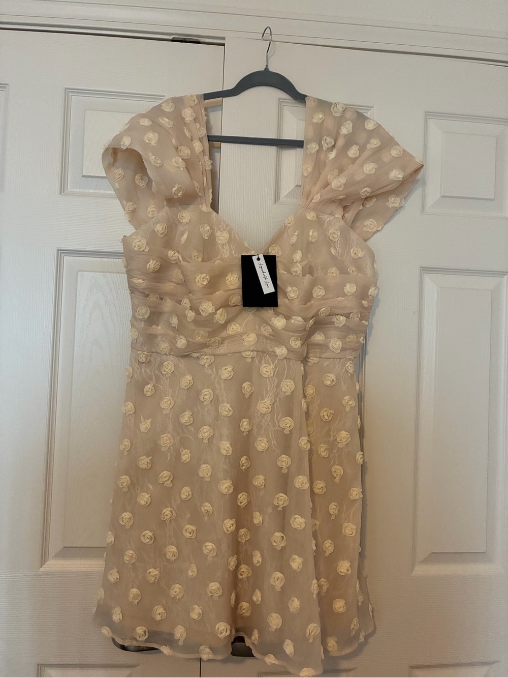 Cap-Sleeve Mini Dress in Cream with Floral Appliqué